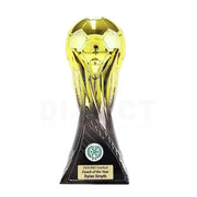 Tuotone World Cup Soccer Trophy