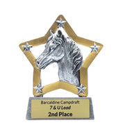 Horse Mini Star