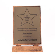 Billboard Xtra Plaque Bronze 215mm
