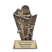 Cricket Maestro Trophy