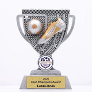 Sentinel Football Trophy