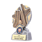 Surgestar Cricket Trophy