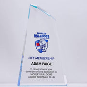 Torgo Acrylic Blue Colour Trophy