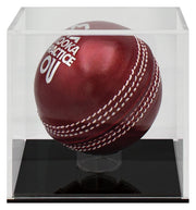 Clearvue Acrylic Cricket Ball Case