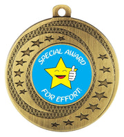Wayfare Special Award Medal