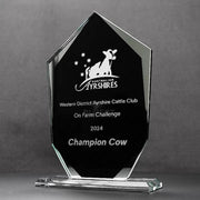 Silvershift Arrowhead Glass Trophy