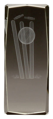 Cricket Crystal Hologram