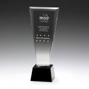 Hallmark Crystal Award Trophy
