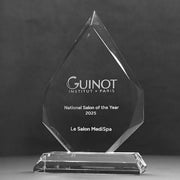 Nexis Arrowhead Crystal Trophy
