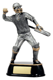 Cricket Player Celebration Trophy