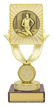 Steathcrest Aussie Rules Male Trophy