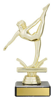Markwell Gymnastics Silver Trophy