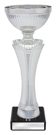 Velocity Silver Cup