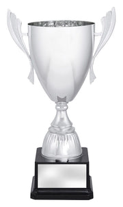 Ferroclad Silver Cup