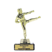 Male Karate Figure Trophy
