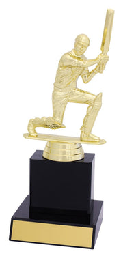 Ebanex Cricket Trophy