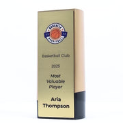 Elevon Basketball Trophy