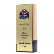 Elevon Netball Trophy