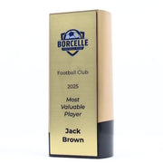 Elevon Football Trophy