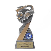 Flarex Football Trophy