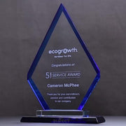 Rexion Arrow Blue Trophy