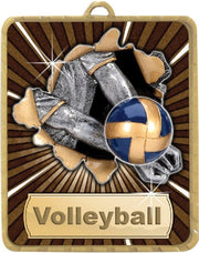 Lynx Medal Volleyball