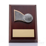 Plaque Peak Volleyball