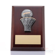 Plaque Peak Netball