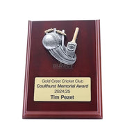 Plaque Peak Cricket
