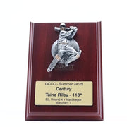 Plaque Male Batting