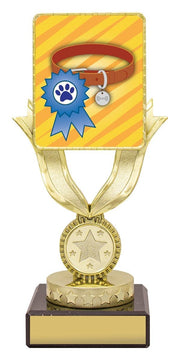 Lynx Dash Ribbon Collar Award
