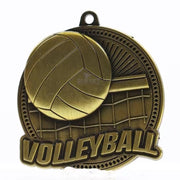 Vibentis Volleyball Gold Medal