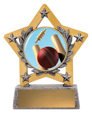 Mini Star Colour Cricket