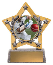 Mini Star Colour Cricket Batting