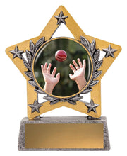 Mini Star Colour Cricket Fielding