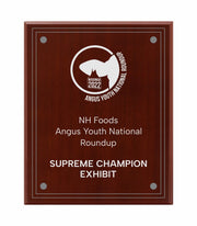 Floating Glass Engraved Plaque