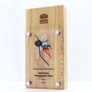 Ascent Wood Acrylic Colour Trophy