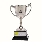 Provenance Silver Grand Cup