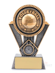 Spartan Volleyball