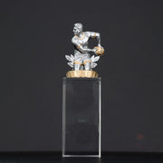 Rugby Budget Crystal Trophy