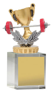 Gym Budget Crystal Trophy