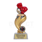 Boxing Flame One Trophy