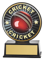 Vibe Cricket Trophy