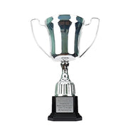 United Silvex Cup