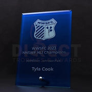 Craft Plaque Blue Trophy