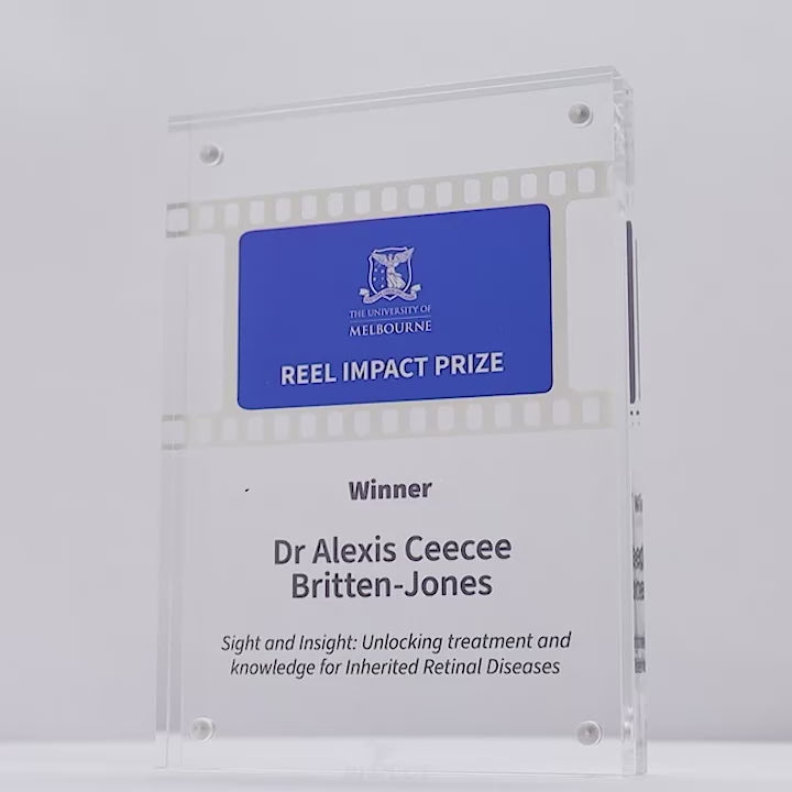 Acrylic Sabrix Colour Block Trophy