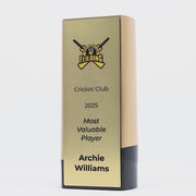 Elevon Cricket Trophy