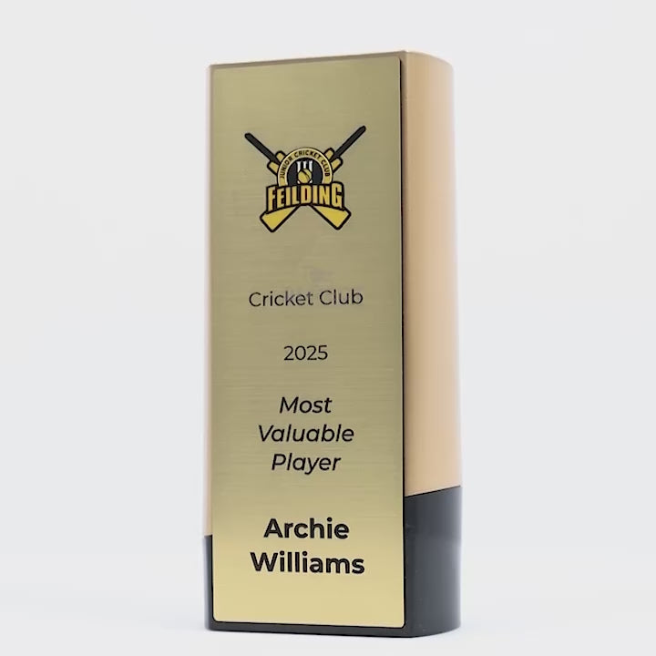 Elevon Cricket Trophy