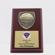 Metnox Netball Plaque Trophy