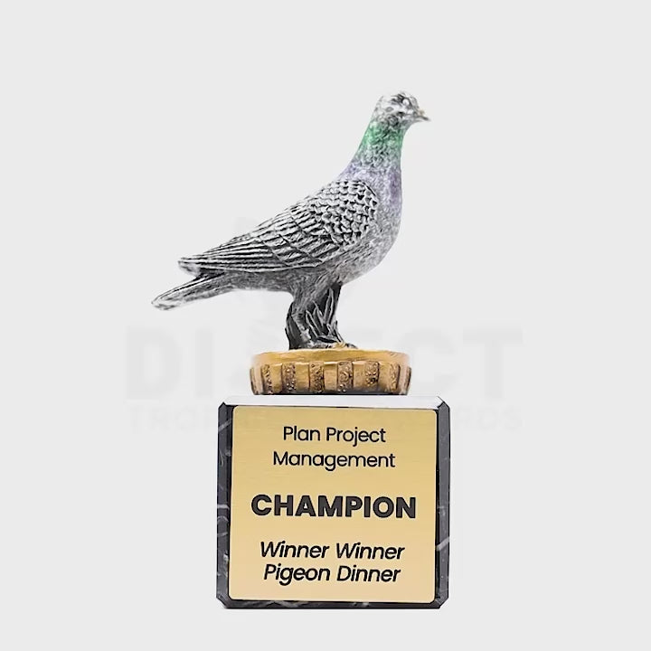 Pigeon Marble Trophy